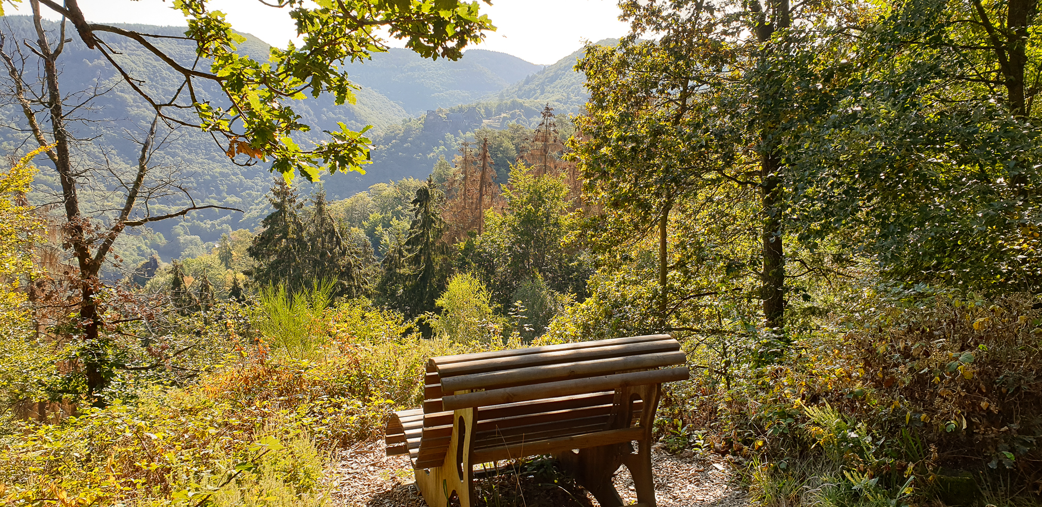 Liegebank auf dem Wanderweg Graf Georg Johannes Weg in Veldenz Das Bild zeigt eine Liegebank im Wald auf dem Graf Georg Johannes Weg Wanderweg in Veldenz.