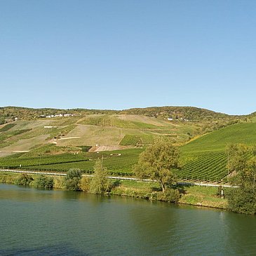 Mosellandschaft