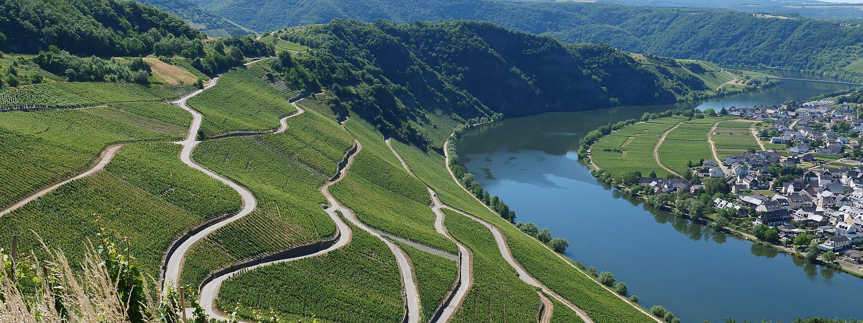 Piesport an der Mosel