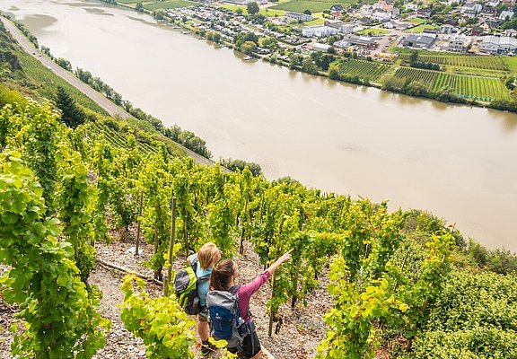 Blick auf die Mosel bei Mehring