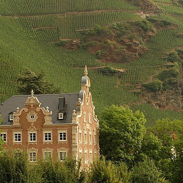 Weingut Mönchhof