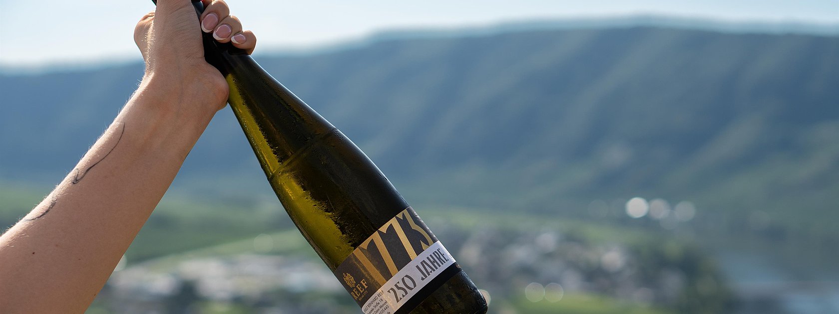Weinflasche Weingut Reef