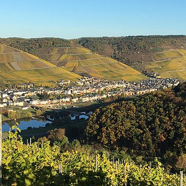 Ansicht vom Klosterberg