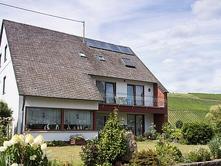 Weingut Selbach-Erz