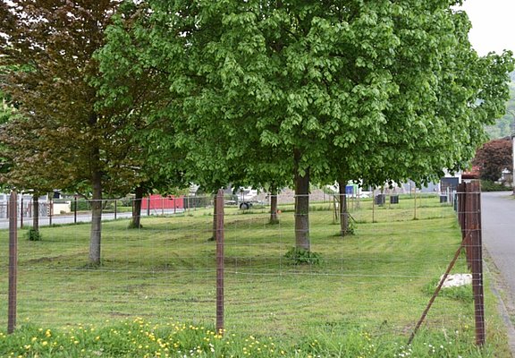 700 m2 voll eingezäunt