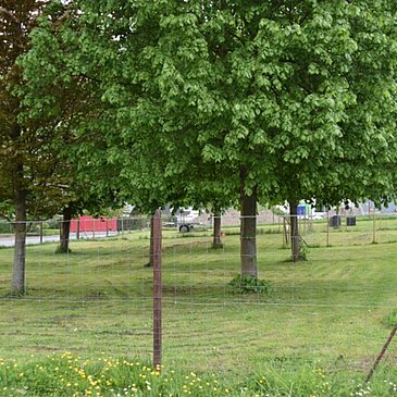 700 m2 voll eingezäunt