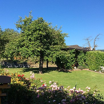 Garten2