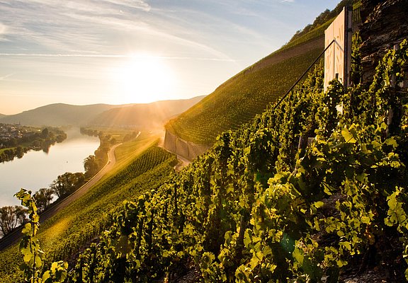 Brauneberger Juffer Sonnenuhr