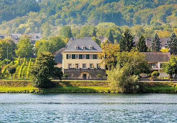 Landaus am Moselufer Wehlen