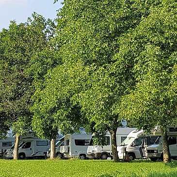 Stellplätze unter Bäumen