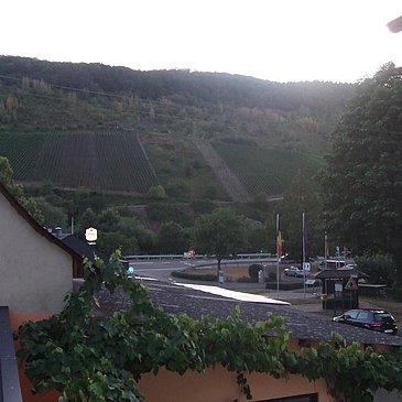 Blick zur Mosel