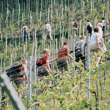 Aufstieg Römersteig