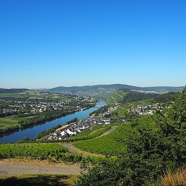 Ausblick auf Lieser