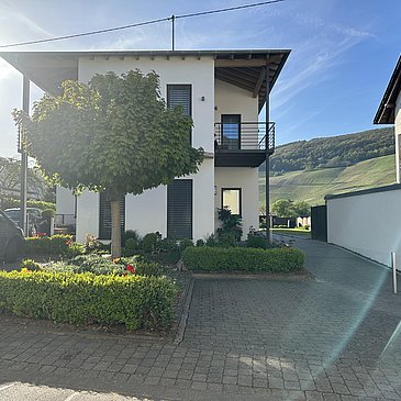 IMG_6954