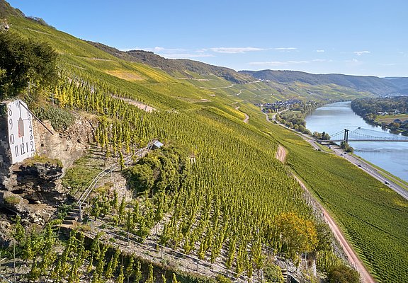 Wehlener Sonnenuhr mit Blick auf Mosel