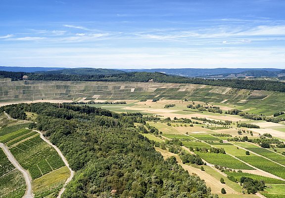 Umlaufberge bei Maring und Lieser entdecken