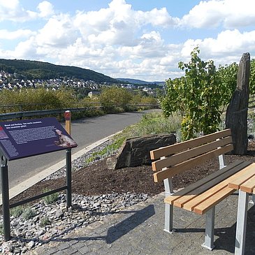 Station 1: "Riesling trifft Mosel"