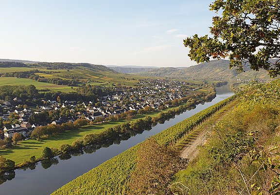 Brauneberg