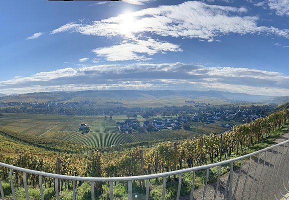 Weingut Thomas Hoffmann - Ausblick