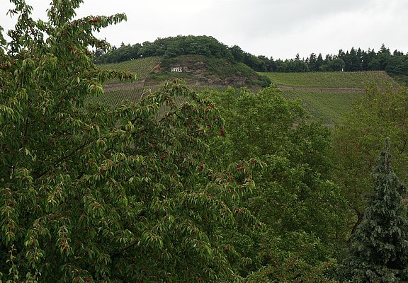 Landschaft