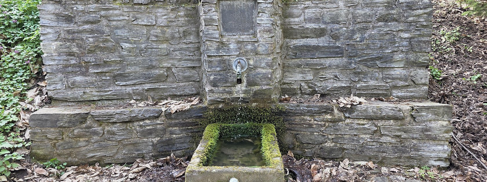 Joducusbrunnen im Wald von Wehlen