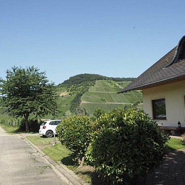 Direkt im Weinberg