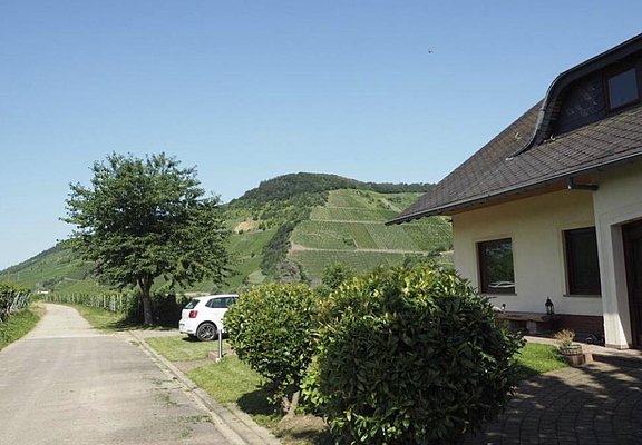 Direkt im Weinberg