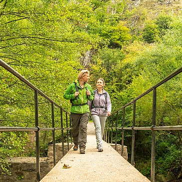 Übergang auf dem Moselsteig Etappe 20