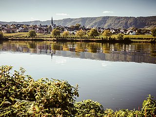 Piesport