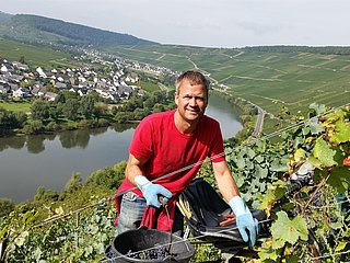 Winzer im Weinberg