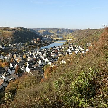 Blick von der Mönch-Felix-Hütte auf Niederfell und Kobern-Gondorf