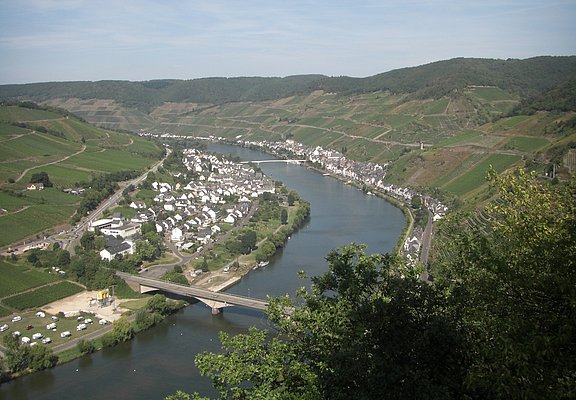 Zell: Beinter Kopf