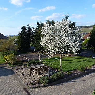 Frühling im Hof, Sicht aus Fewo 1