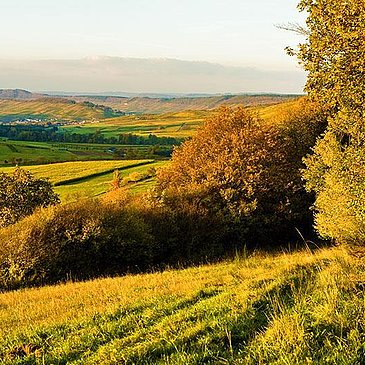 Landschaftsumgebung