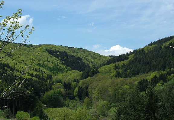 Talblick