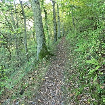Pfadpassage im Kallenfelstal