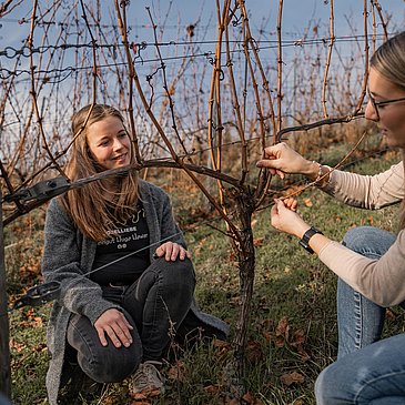 Weinprobenspaziergang im Weinberg