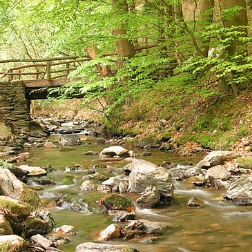 Veldenzer Bach