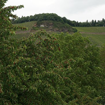 Landschaft