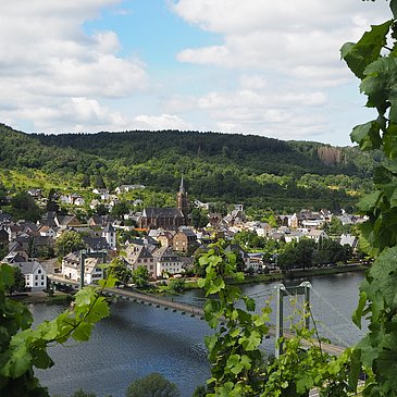 Ausblick auf Wehlen und die Hängebrücke