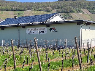 Weingut Lehnert-Später