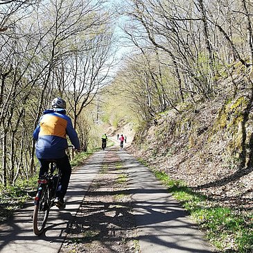 Radweg am Lützbach entlang