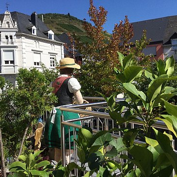 Moselblümchen auf der Terrasse