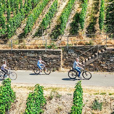 Rad_Person_Weinberg_Sommer (2) ©Wein- und Ferienre
