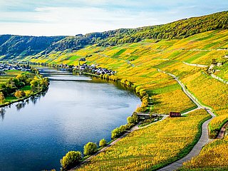 Blick auf die Mosel bei schönem Herbstwetter