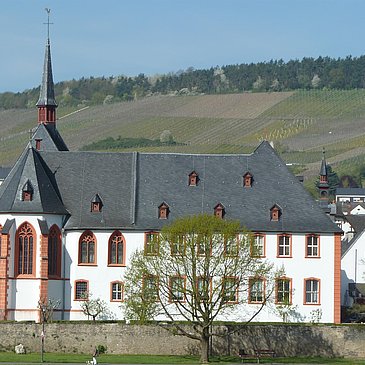 Cusanus-Stift