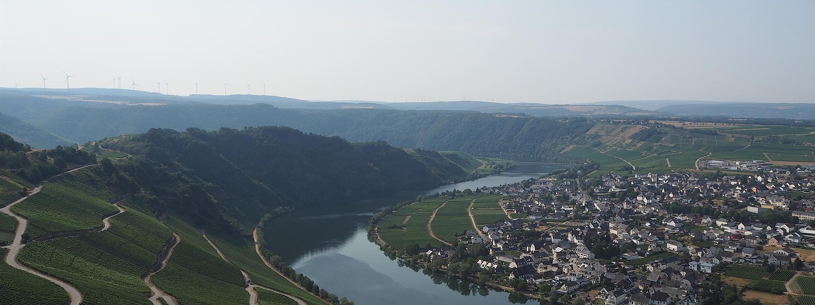 Moselblick bei Piesport