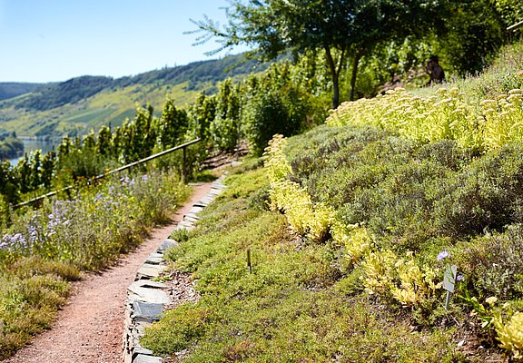 Gewürzgarten