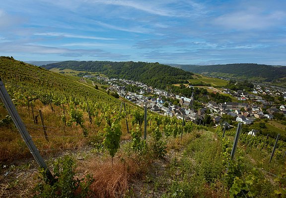 Weinberg Dhron