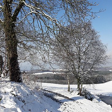 Landschaft Winter